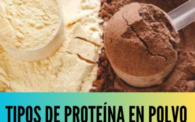 Tipos de proteína en polvo